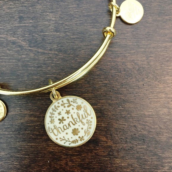 Alex and Ani Thankful Charm Bangle Bracelet - Picture 4 of 9